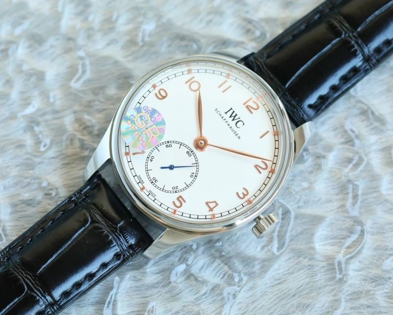 IWC Watches EasyCare 184544
