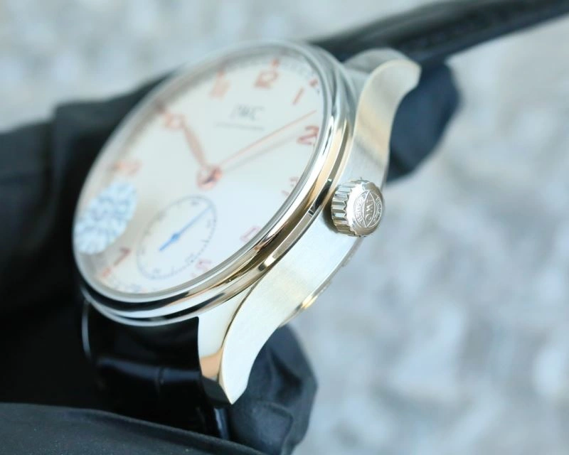 IWC Watches EasyCare 184544