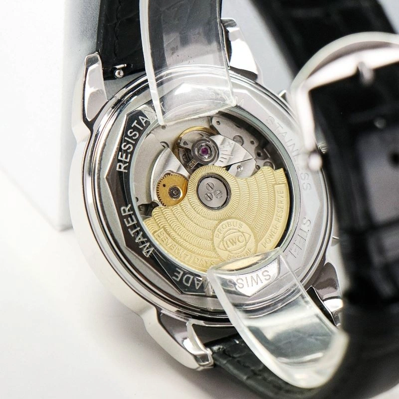 IWC Watches WrinkleFree 184529