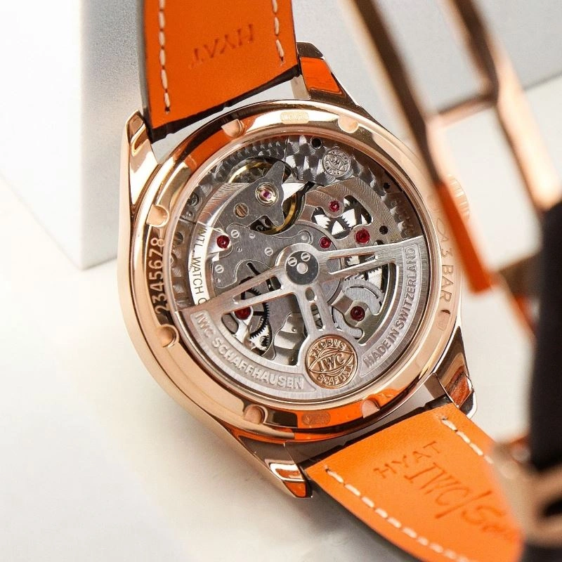 WellDesigned IWC Watches 184523