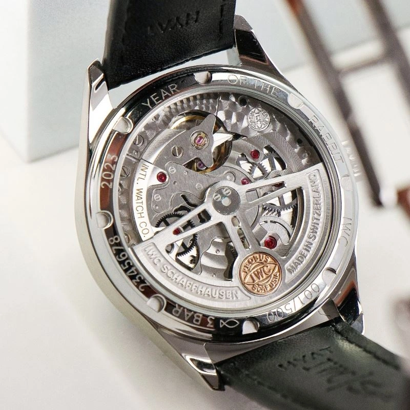 IWC Watches Colorful 184504