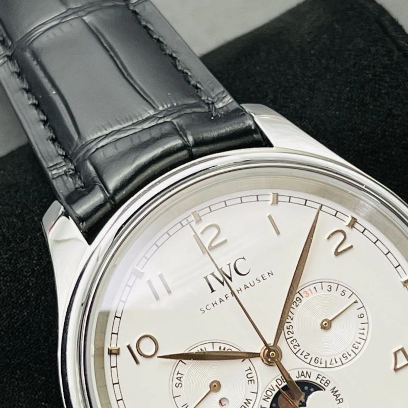 IWC Watches Stretchable 184968