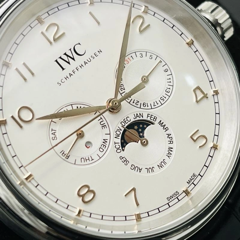 IWC Watches Stretchable 184968