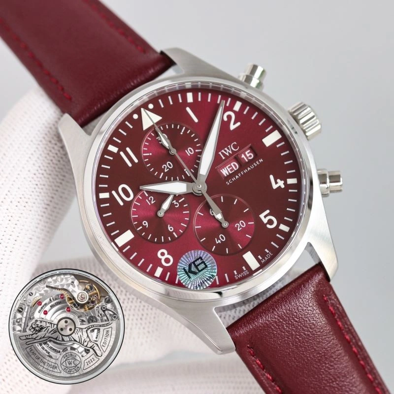 Snug IWC Watches 184963