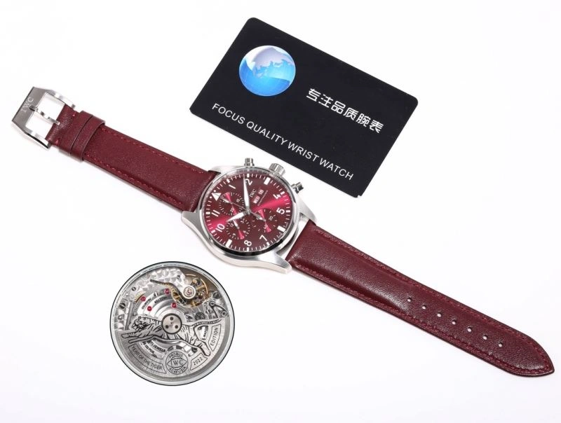 Snug IWC Watches 184963