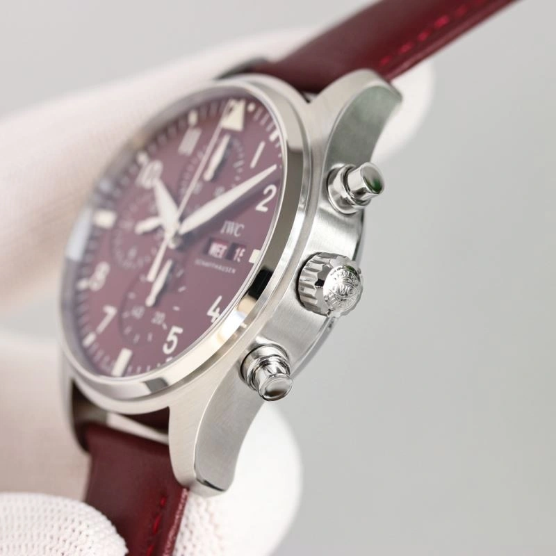 Snug IWC Watches 184963