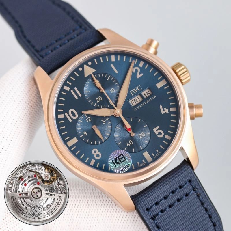 GoAnywhere IWC Watches 184961