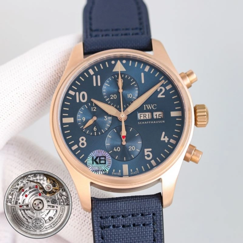 GoAnywhere IWC Watches 184961