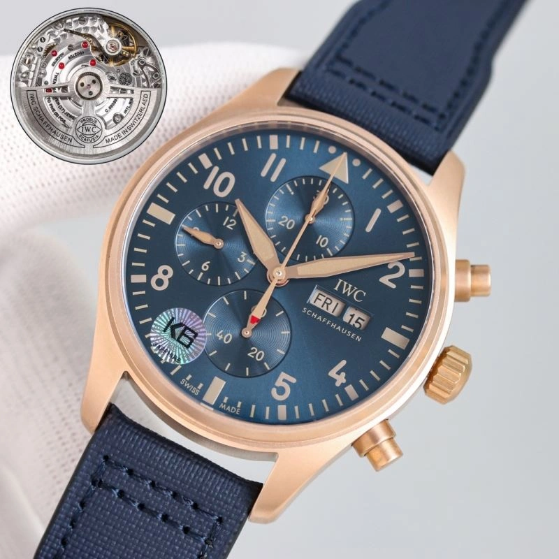 GoAnywhere IWC Watches 184961