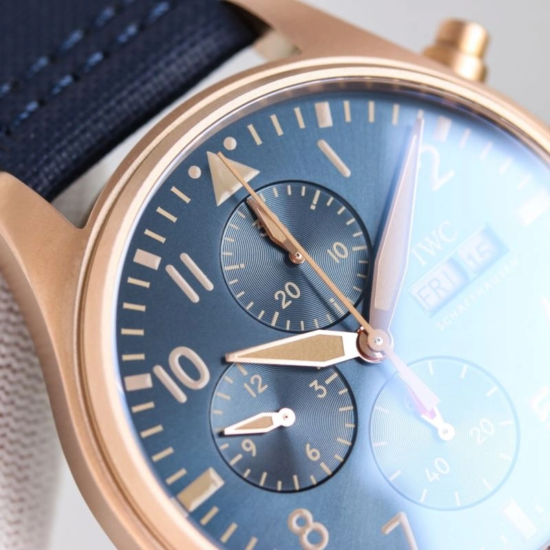 GoAnywhere IWC Watches 184961