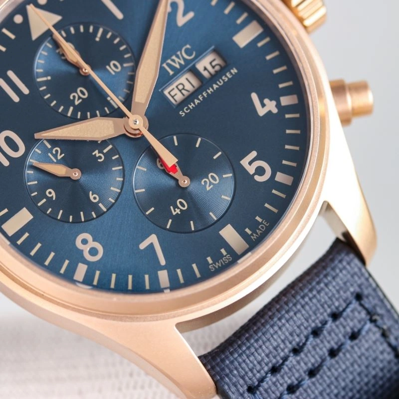 GoAnywhere IWC Watches 184961