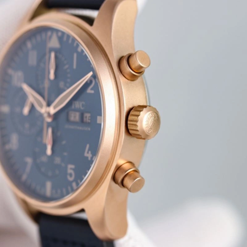 GoAnywhere IWC Watches 184961