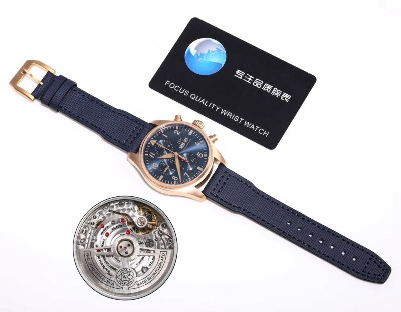 GoAnywhere IWC Watches 184961