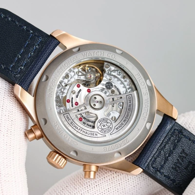 GoAnywhere IWC Watches 184961