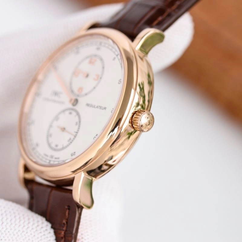 IWC Watches Supportive 184950