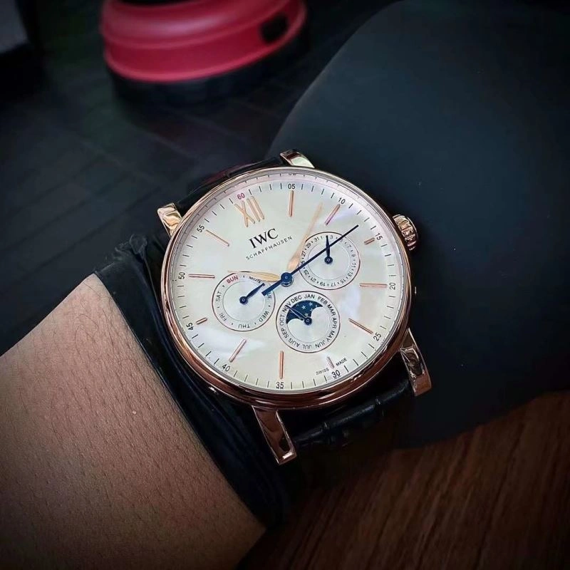 IWC Watches Unisex 184914