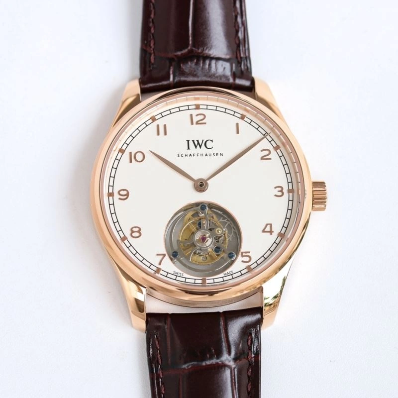 Contemporary IWC Watches 184906
