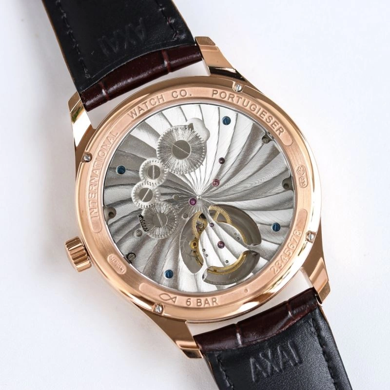 Contemporary IWC Watches 184906