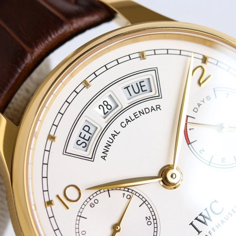 Trendsetting IWC Watches 184877