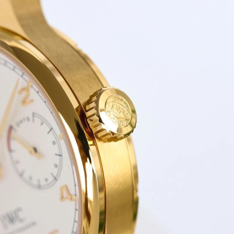 Trendsetting IWC Watches 184877