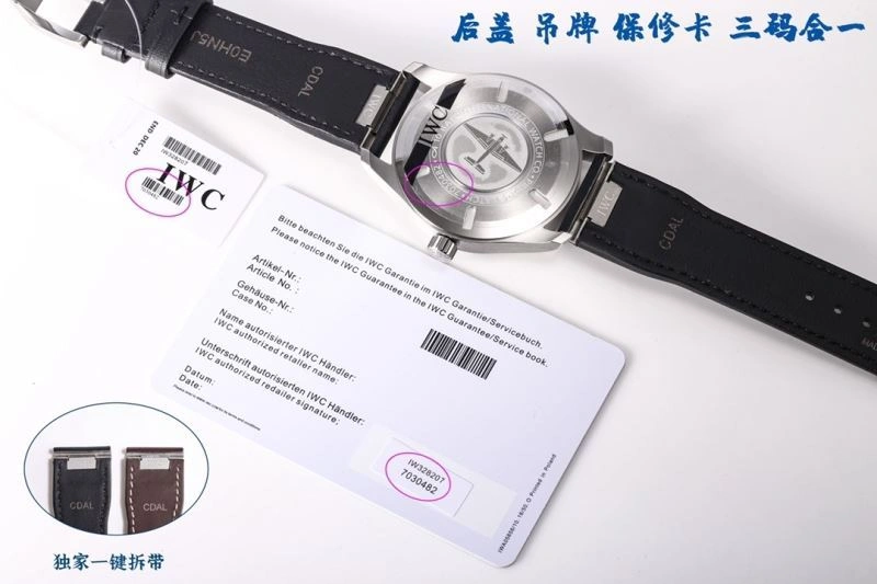 IWC Watches Resilient 184868