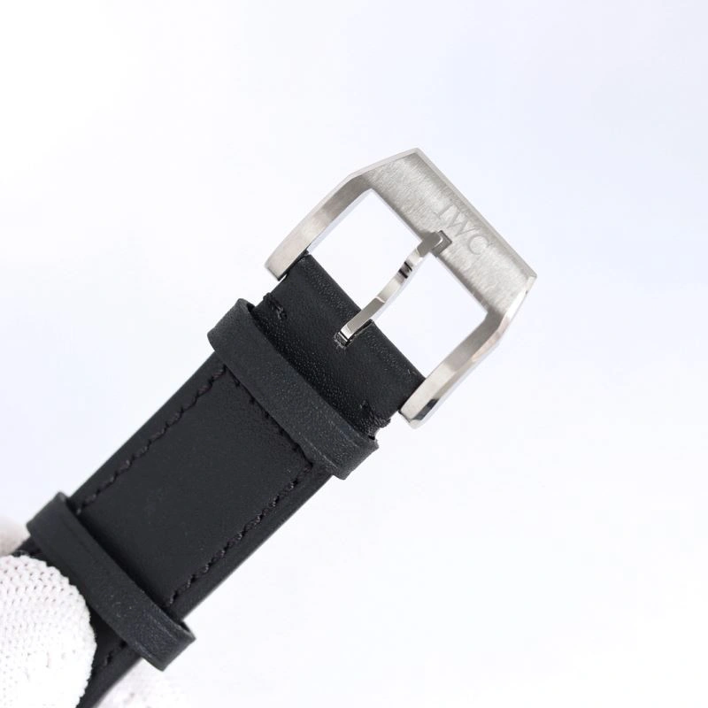 IWC Watches Resilient 184868