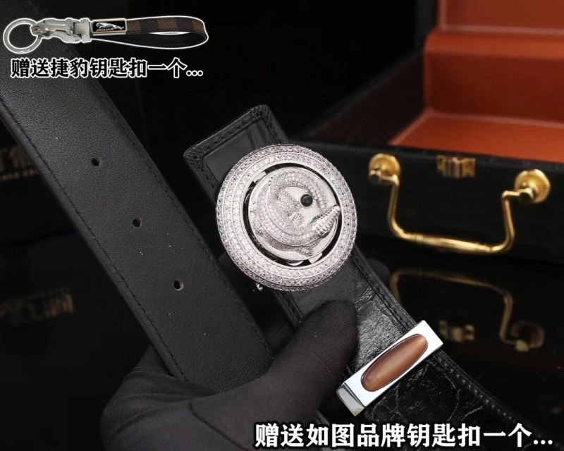 Functional Jaguar Belts 296711