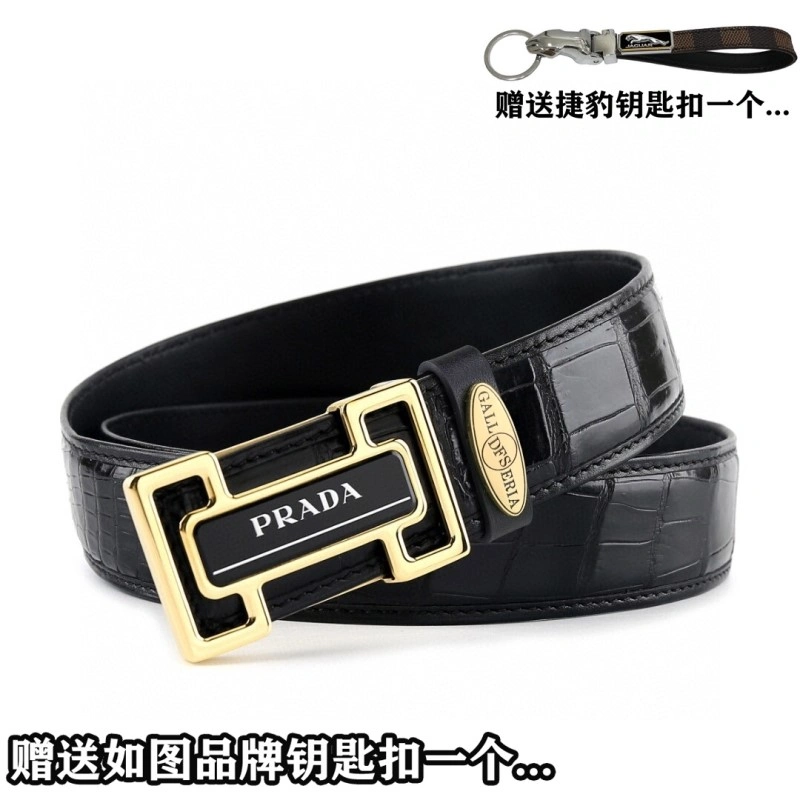 Compact Jaguar Belts 296688