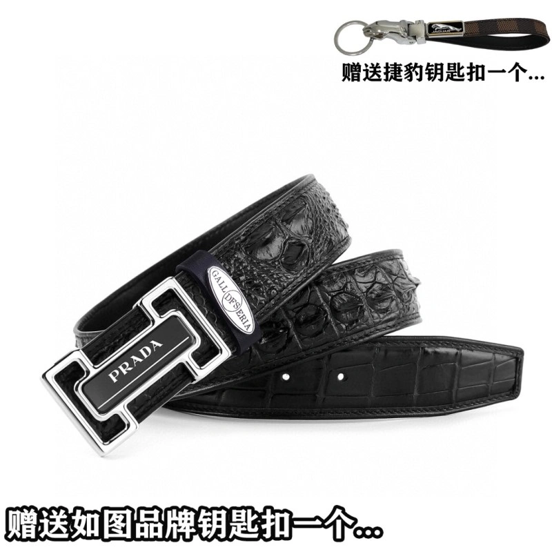 Compact Jaguar Belts 296688