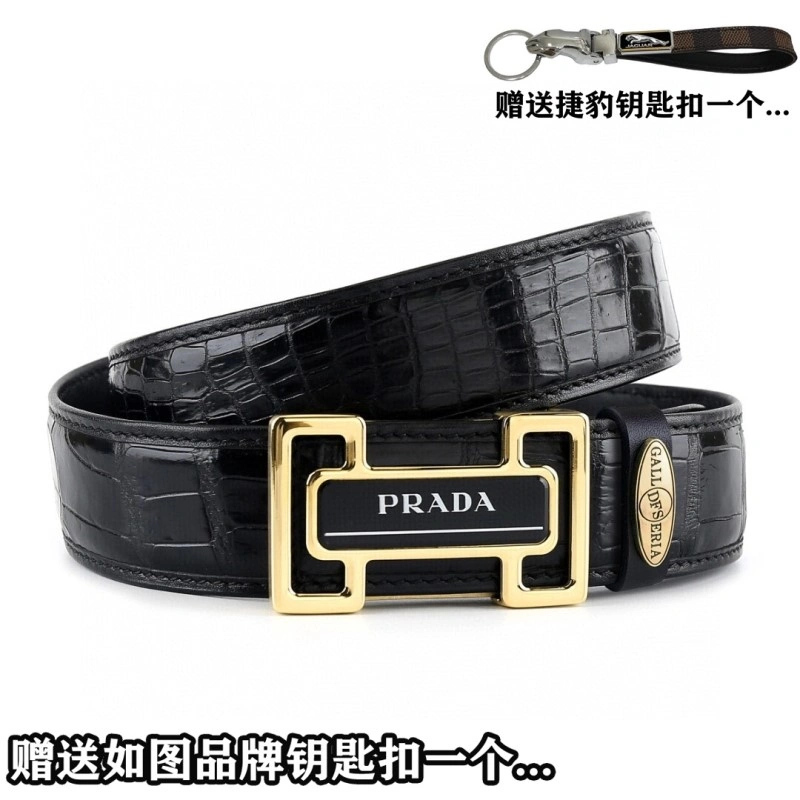 Compact Jaguar Belts 296688