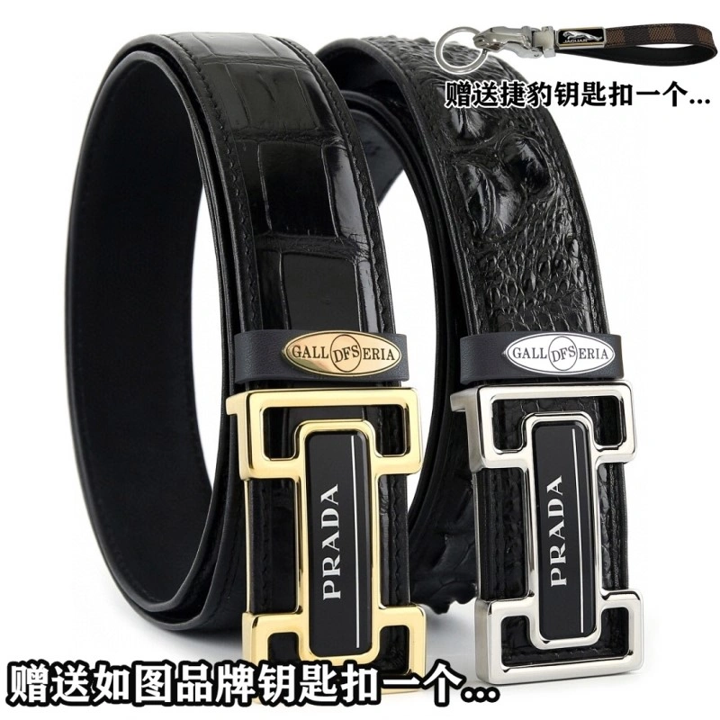 Compact Jaguar Belts 296688
