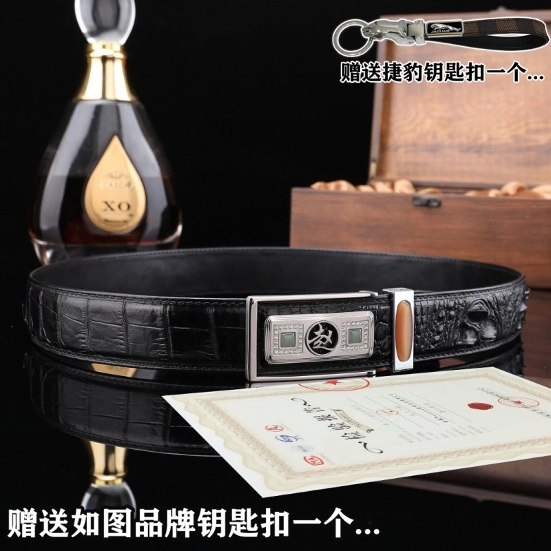 Compact Jaguar Belts 296678