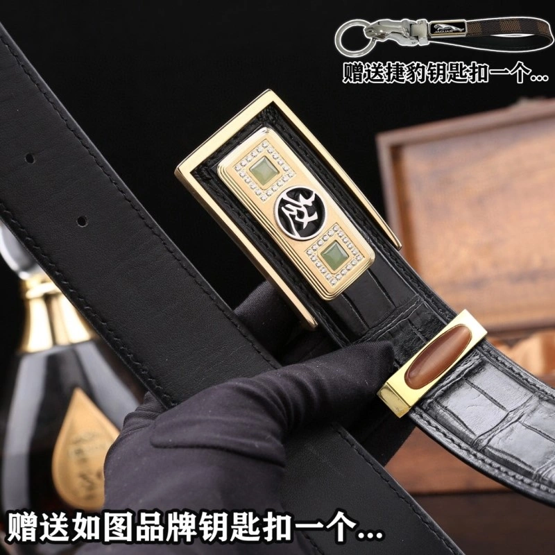 Compact Jaguar Belts 296678
