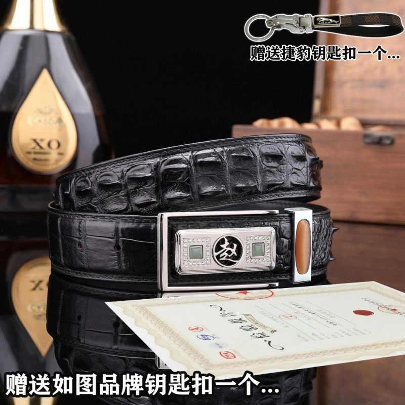 Compact Jaguar Belts 296678
