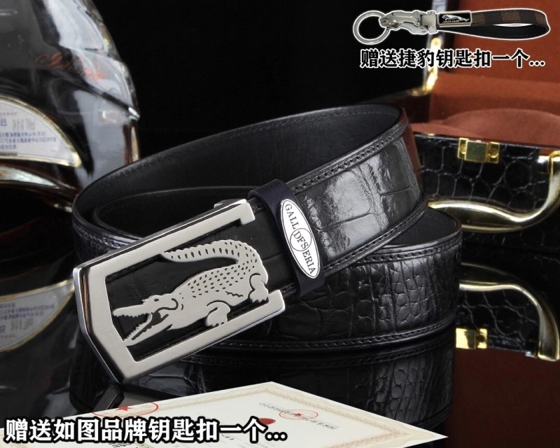 WaterResistant Jaguar Belts 296668