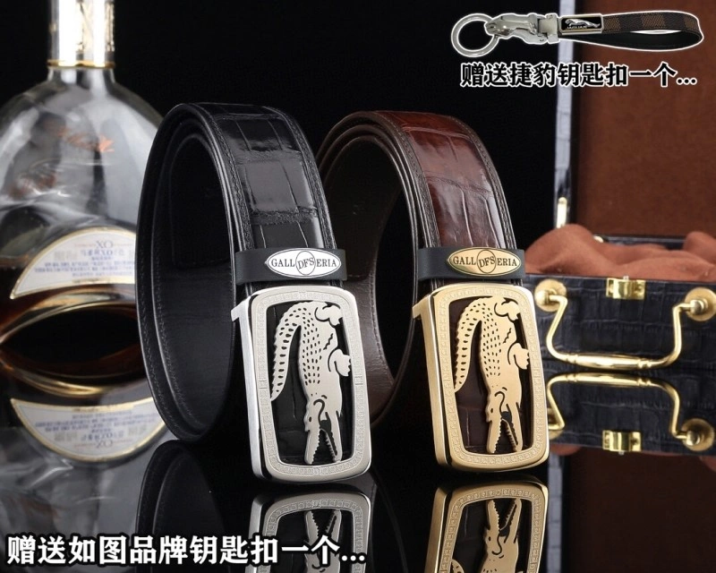 ModernLook Jaguar Belts 296666