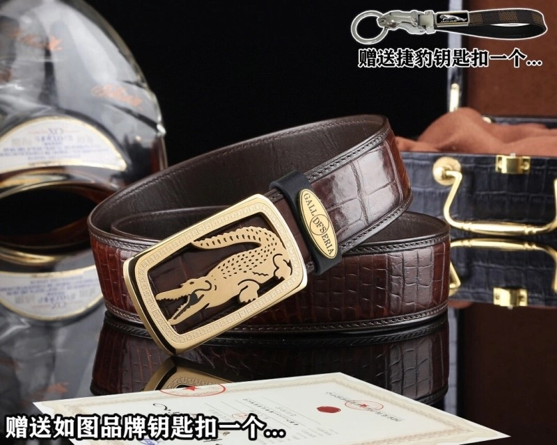 ModernLook Jaguar Belts 296666