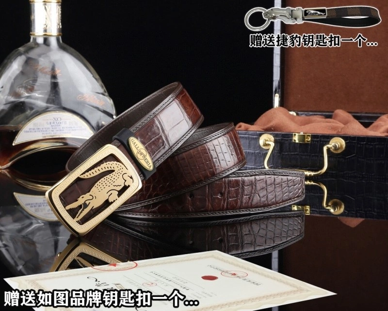 ModernLook Jaguar Belts 296666