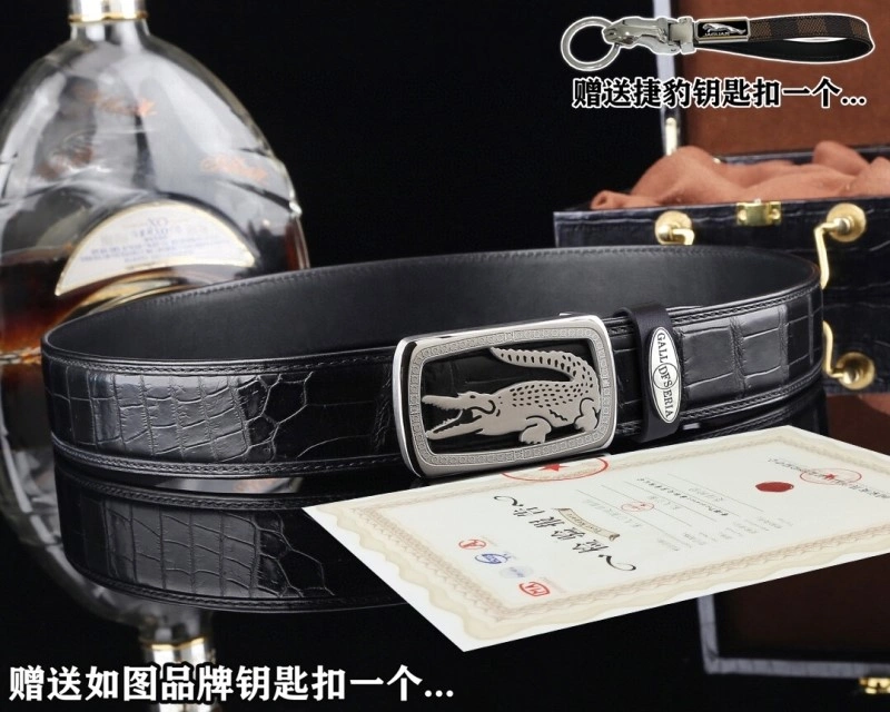 ModernLook Jaguar Belts 296666