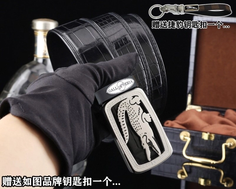 ModernLook Jaguar Belts 296666