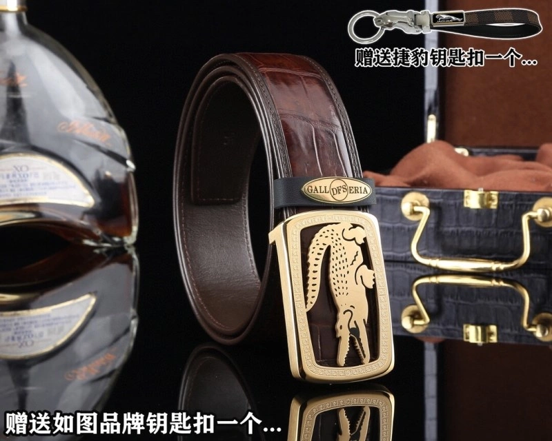 ModernLook Jaguar Belts 296666