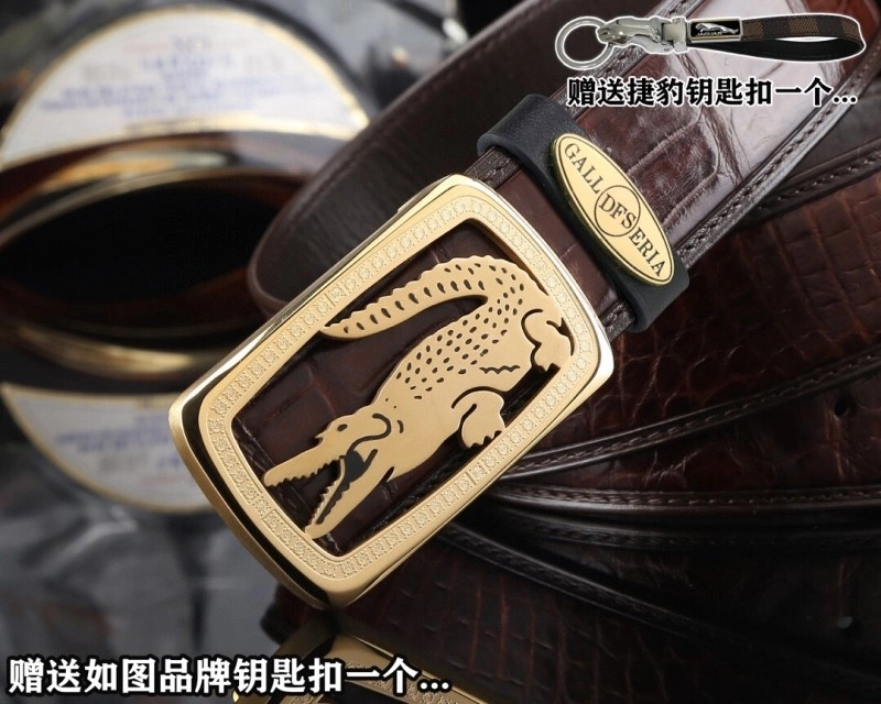 ModernLook Jaguar Belts 296666