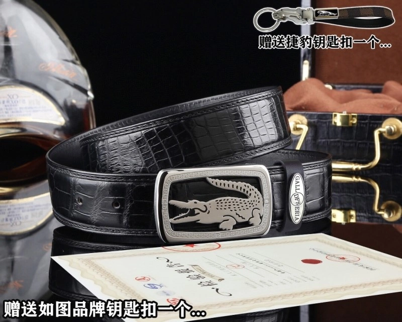 ModernLook Jaguar Belts 296666