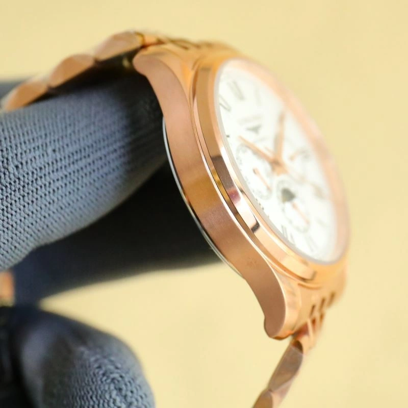 LONGINES Watches FlexibleFit 187984