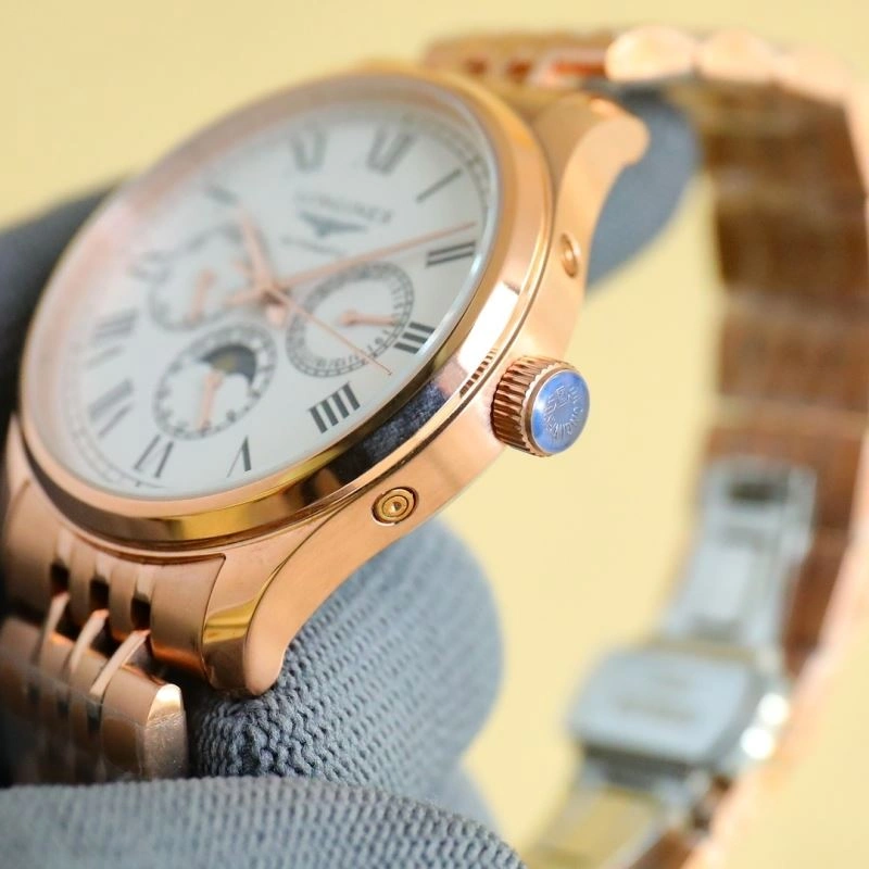 LONGINES Watches FlexibleFit 187984