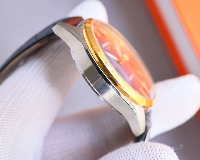 SunProtective LONGINES Watches 186604