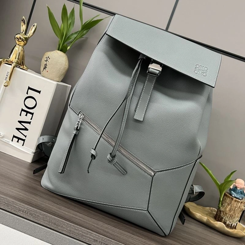 AllSeason Loewe Backpacks 61729