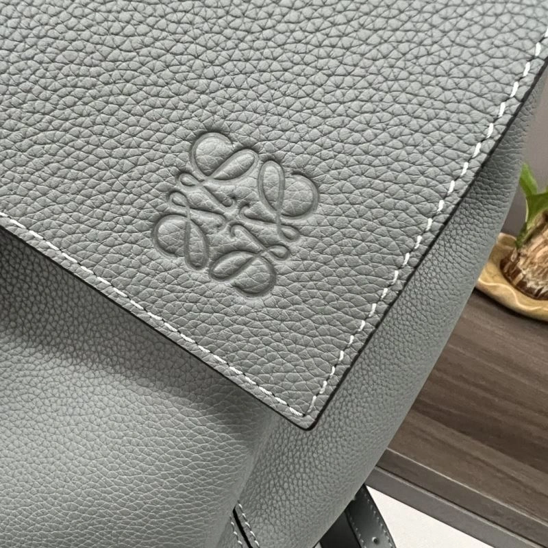 AllSeason Loewe Backpacks 61729