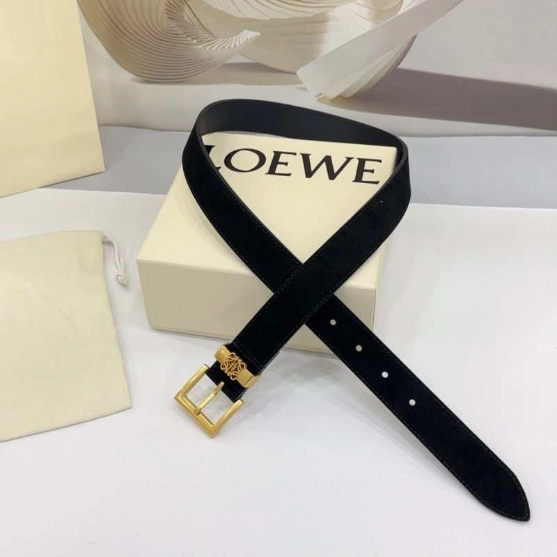 Colorful Loewe Belts 296845