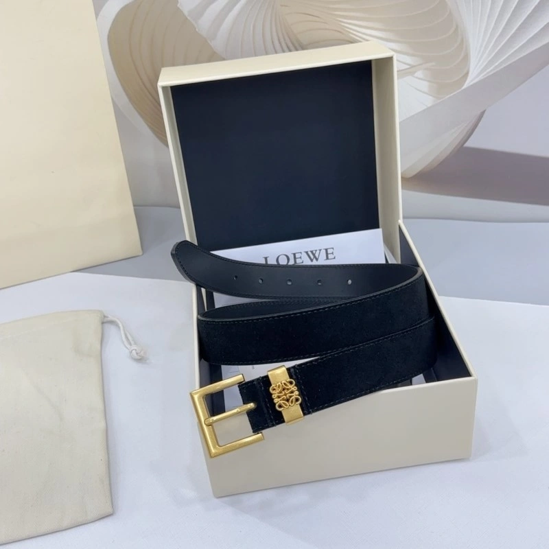 Colorful Loewe Belts 296845